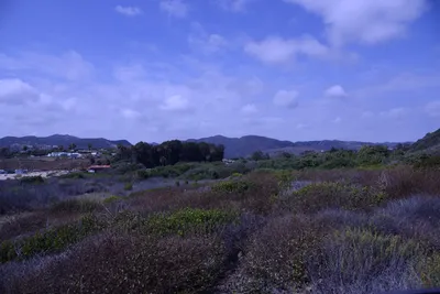 May 2015 - Beach with John H